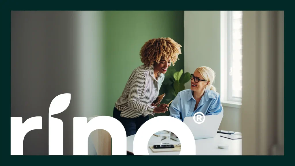 Team Collaboration at Spring Fibre HQ