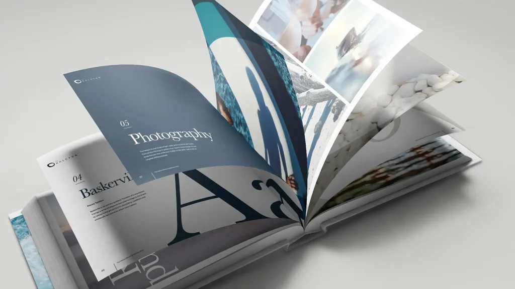 The Halcyon brand guidelines design